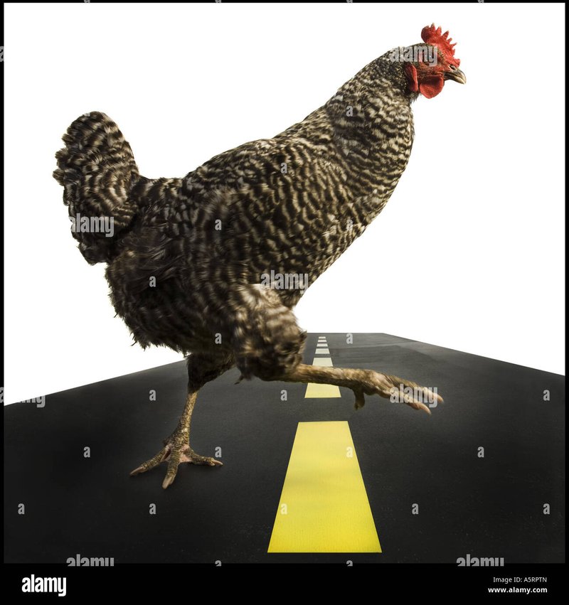 Overview of chicken road game